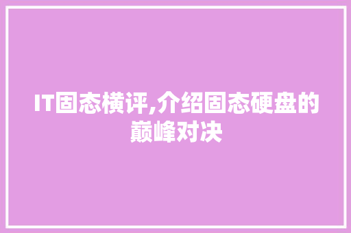 IT固态横评,介绍固态硬盘的巅峰对决