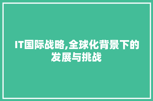 IT国际战略,全球化背景下的发展与挑战 搜狗SEO