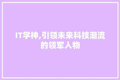 IT学神,引领未来科技潮流的领军人物 必应SEO