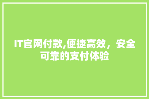 IT官网付款,便捷高效，安全可靠的支付体验