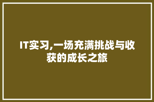 IT实习,一场充满挑战与收获的成长之旅