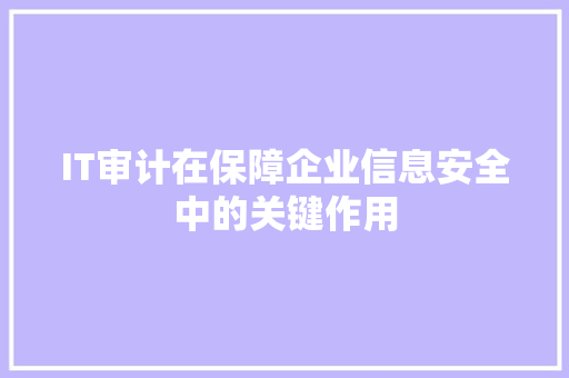 IT审计在保障企业信息安全中的关键作用 神马SEO