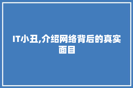 IT小丑,介绍网络背后的真实面目