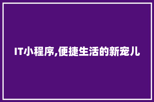 IT小程序,便捷生活的新宠儿