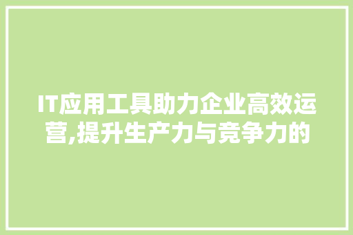 IT应用工具助力企业高效运营,提升生产力与竞争力的利器