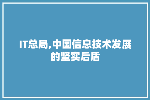 IT总局,中国信息技术发展的坚实后盾