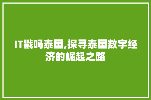 IT戳吗泰国,探寻泰国数字经济的崛起之路 必应SEO