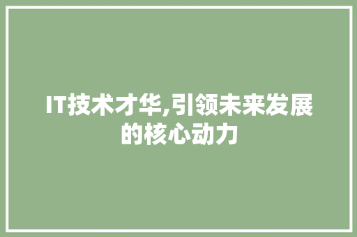 IT技术才华,引领未来发展的核心动力