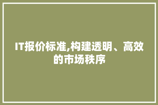 IT报价标准,构建透明、高效的市场秩序