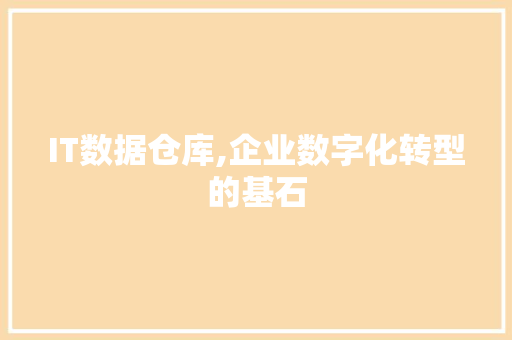 IT数据仓库,企业数字化转型的基石 必应SEO