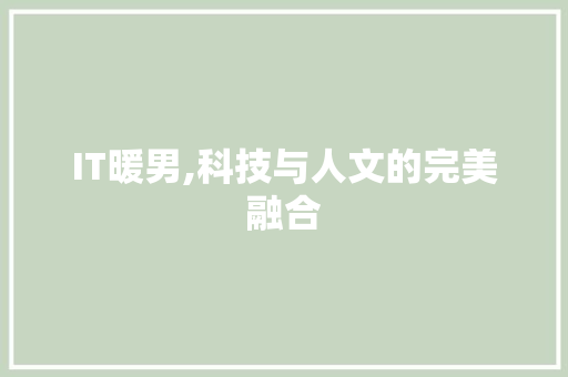 IT暖男,科技与人文的完美融合 必应SEO