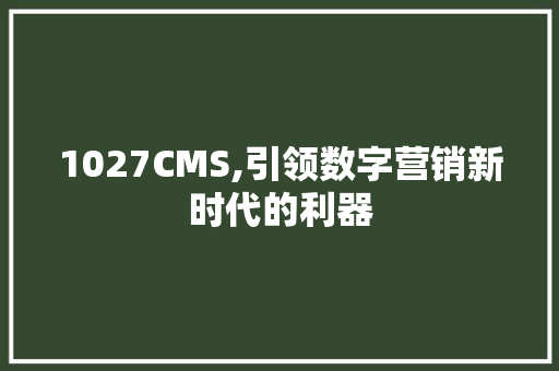 1027CMS,引领数字营销新时代的利器 必应SEO