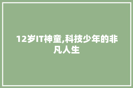 12岁IT神童,科技少年的非凡人生 搜狗SEO