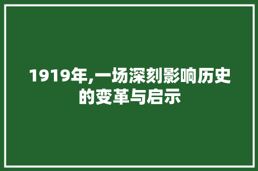 1919年,一场深刻影响历史的变革与启示