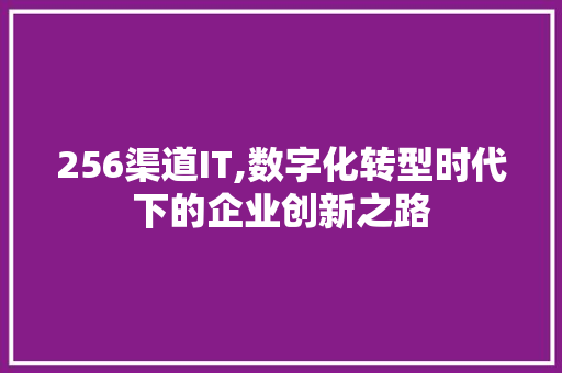 256渠道IT,数字化转型时代下的企业创新之路