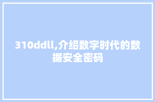 310ddll,介绍数字时代的数据安全密码
