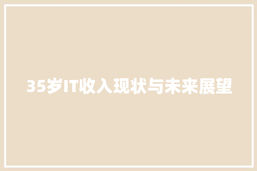35岁IT收入现状与未来展望 神马SEO