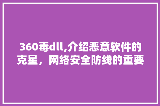 360毒dll,介绍恶意软件的克星，网络安全防线的重要一环 必应SEO