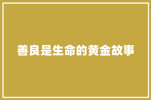 5e引擎,引领游戏开发新潮流的DLL技术介绍