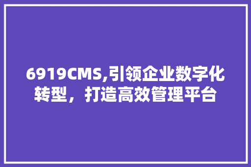 6919CMS,引领企业数字化转型，打造高效管理平台