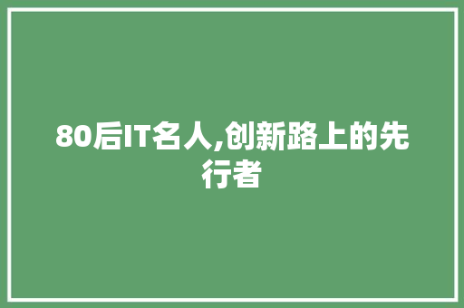 80后IT名人,创新路上的先行者 搜狗SEO
