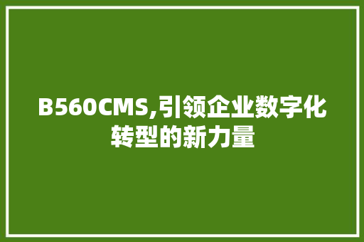 B560CMS,引领企业数字化转型的新力量 必应SEO