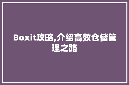 Boxit攻略,介绍高效仓储管理之路