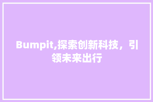 Bumpit,探索创新科技，引领未来出行 GoogleSEO
