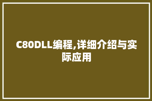 C80DLL编程,详细介绍与实际应用