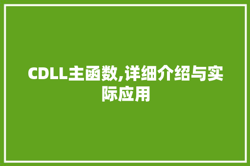 CDLL主函数,详细介绍与实际应用