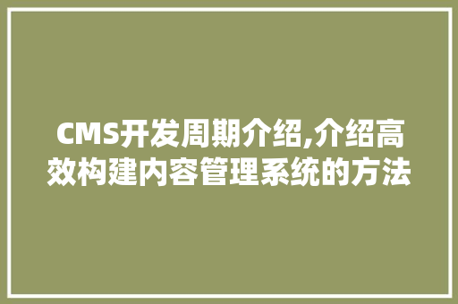 CMS开发周期介绍,介绍高效构建内容管理系统的方法