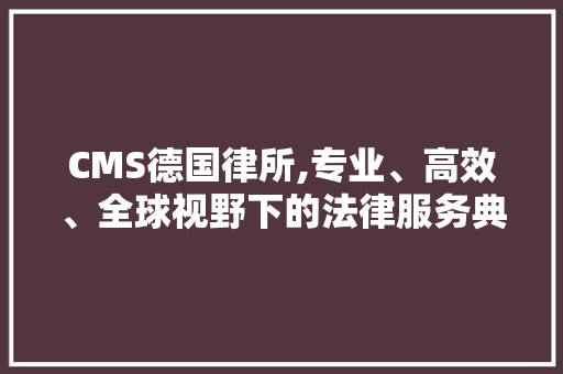 CMS德国律所,专业、高效、全球视野下的法律服务典范