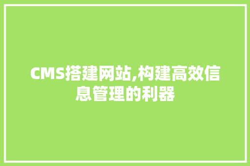 CMS搭建网站,构建高效信息管理的利器 百度SEO