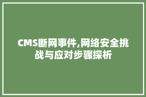 CMS断网事件,网络安全挑战与应对步骤探析