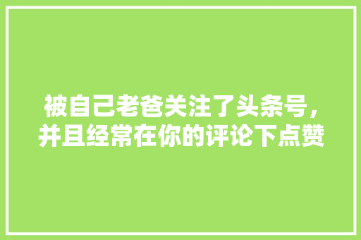 被自己老爸关注了头条号，并且经常在你的评论下点赞是种什么体验「为什么要关注用户体验问题」