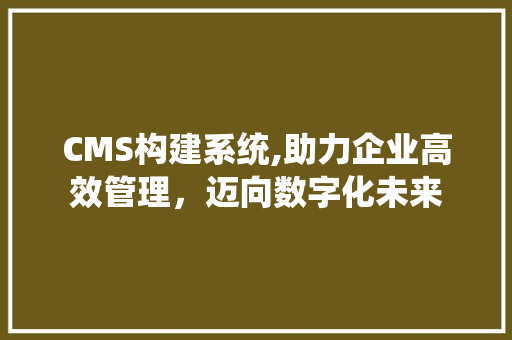 CMS构建系统,助力企业高效管理，迈向数字化未来