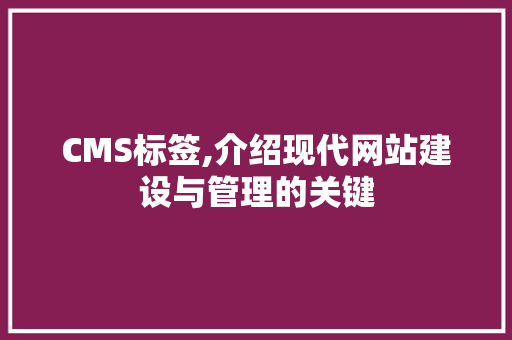 CMS标签,介绍现代网站建设与管理的关键 GoogleSEO