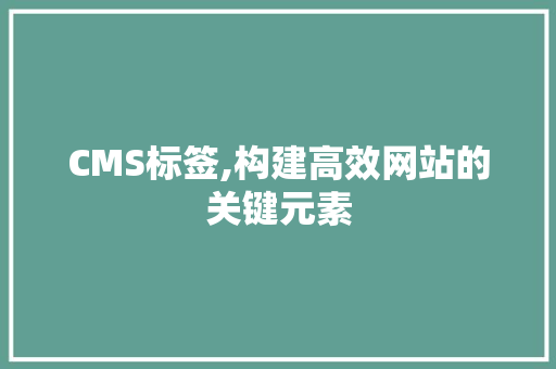 CMS标签,构建高效网站的关键元素 必应SEO