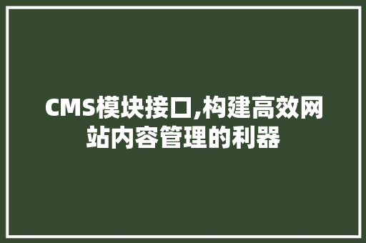 CMS模块接口,构建高效网站内容管理的利器