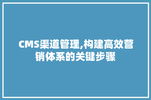 CMS渠道管理,构建高效营销体系的关键步骤