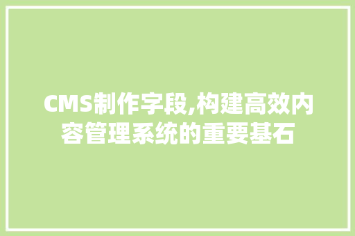 CMS制作字段,构建高效内容管理系统的重要基石