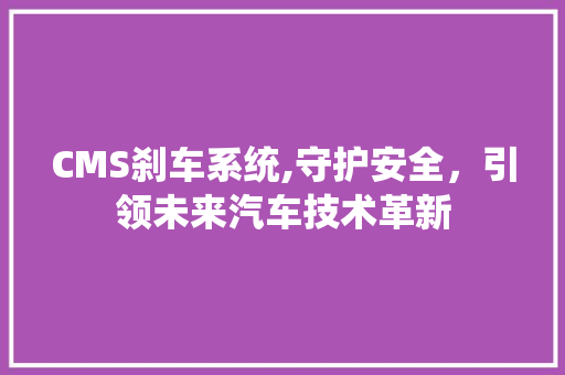 CMS刹车系统,守护安全，引领未来汽车技术革新