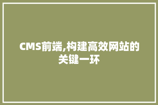 CMS前端,构建高效网站的关键一环 GoogleSEO