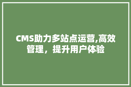 CMS助力多站点运营,高效管理，提升用户体验 必应SEO