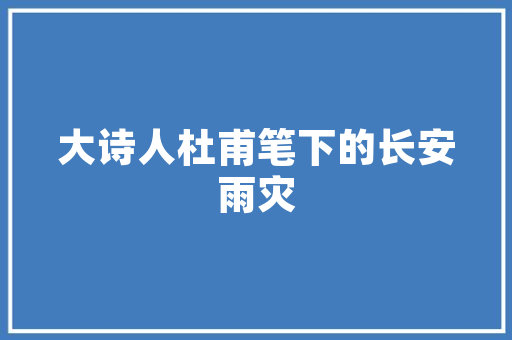 CMS厦门起亚,汽车行业的璀璨明珠 GoogleSEO