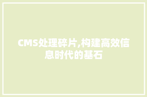 CMS处理碎片,构建高效信息时代的基石
