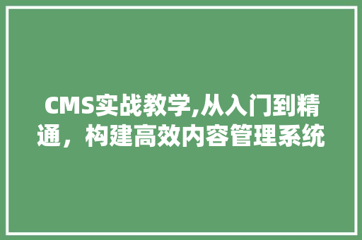 CMS实战教学,从入门到精通，构建高效内容管理系统 百度SEO