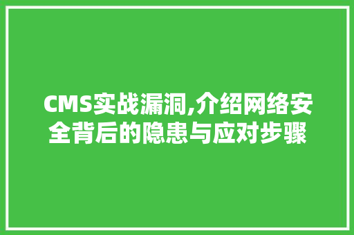 CMS实战漏洞,介绍网络安全背后的隐患与应对步骤