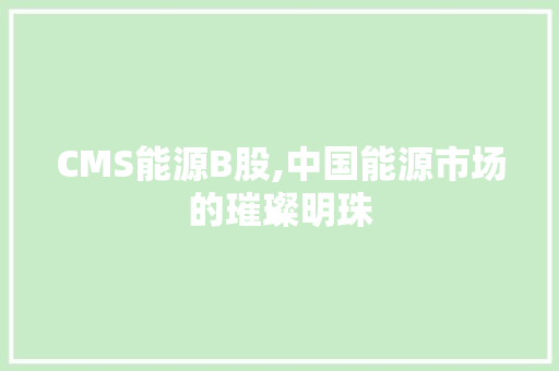 CMS能源B股,中国能源市场的璀璨明珠