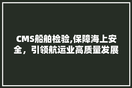 CMS船舶检验,保障海上安全，引领航运业高质量发展